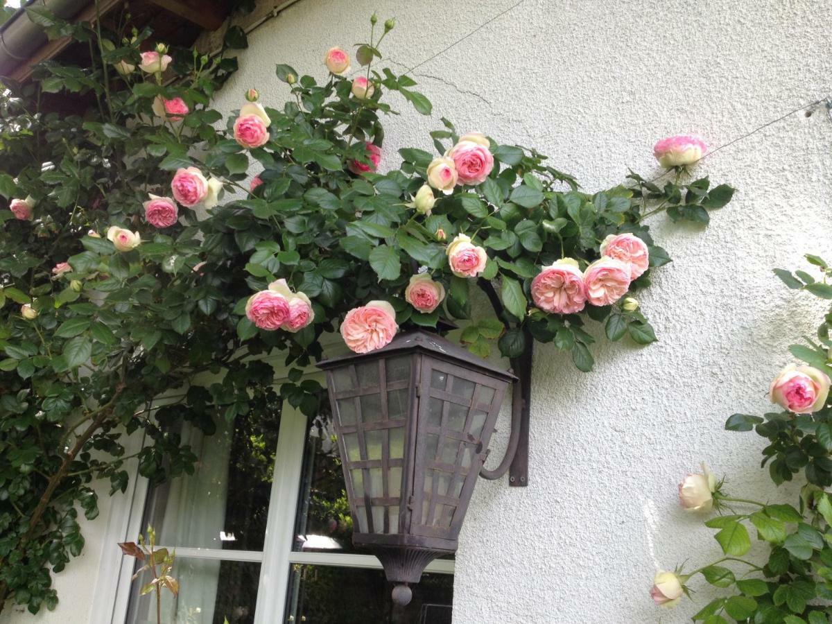 Le Petit Val Rose Villa Villennes-sur-Seine Dış mekan fotoğraf